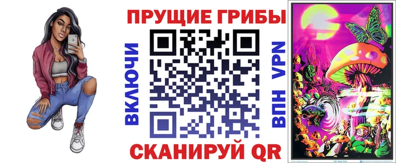 OMG вход  Афипский  Псилоцибиновые грибы мицелий  купить наркотики сайты 